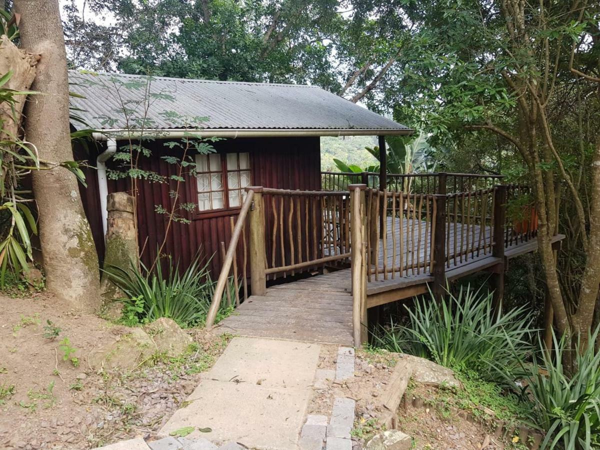 รูสฟอนไทน์ เบดแอนด์เบรกฟาสต์แอนด์เฟอเรนซ์เซ็นเตอร์ Bed & Breakfast เดอร์บัน ภายนอก รูปภาพ